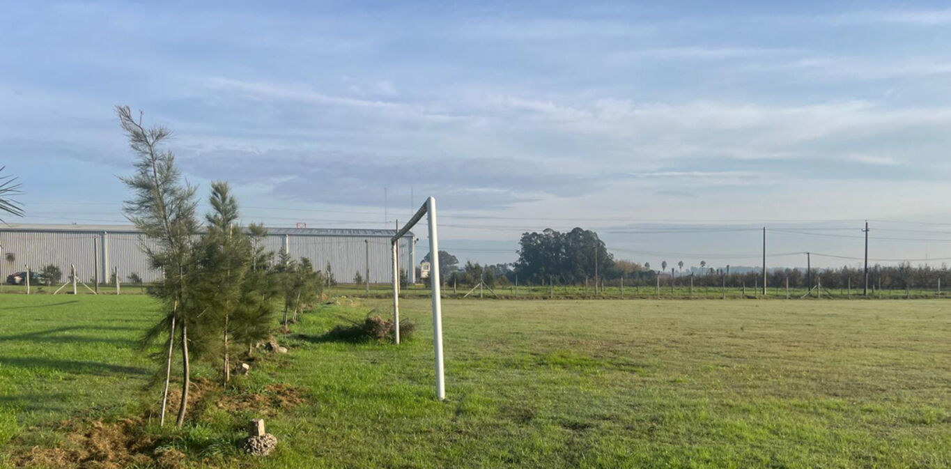 Complejo de Canchas en Alquiler en Montevideo — imagen 5