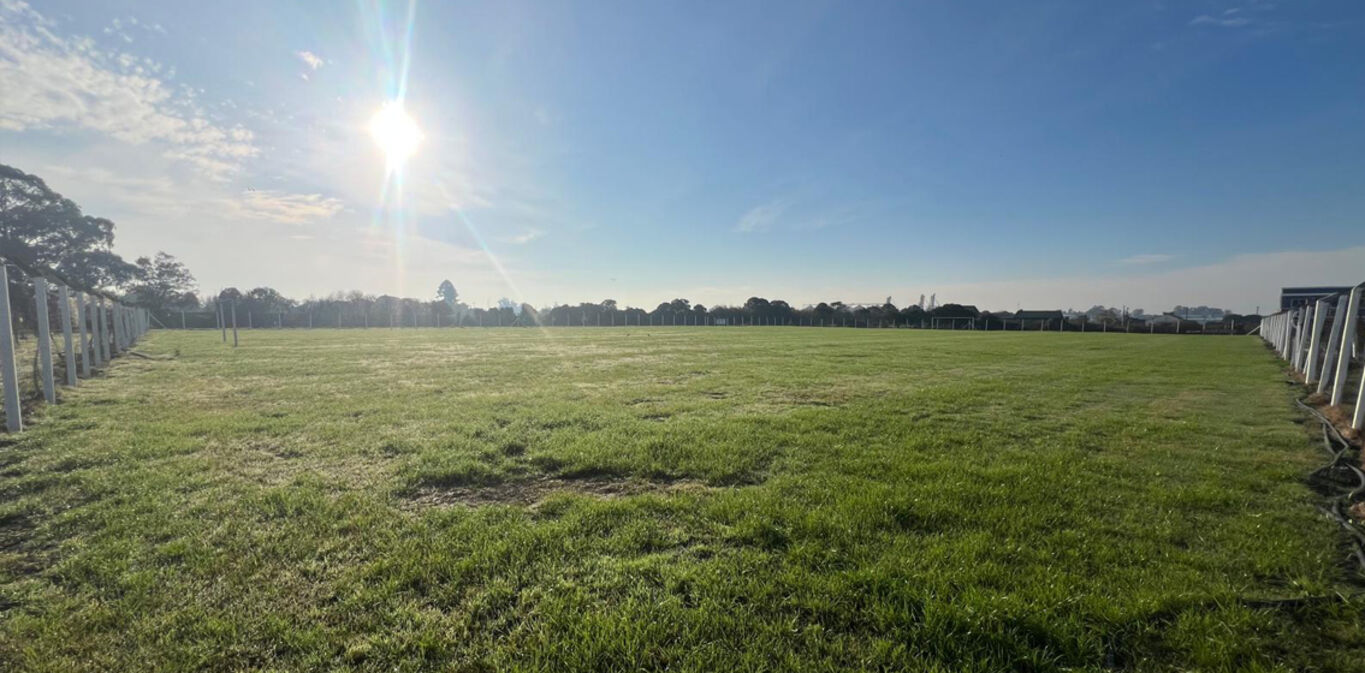 Complejo de Canchas en Alquiler en Montevideo — imagen 9