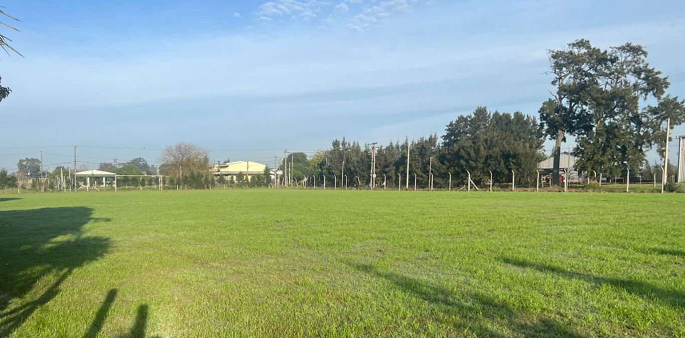 Complejo de Canchas en Alquiler en Montevideo — imagen 14