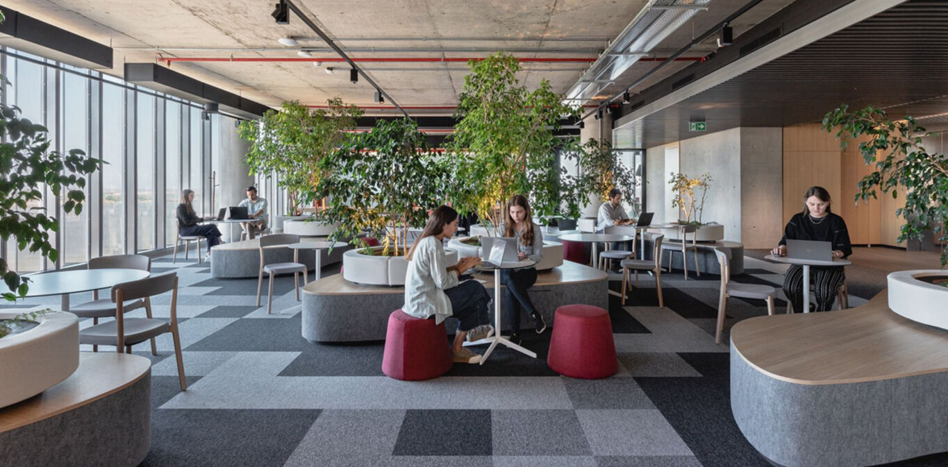 Oficina en Alquiler con Muebles en Palermo — imagen 7