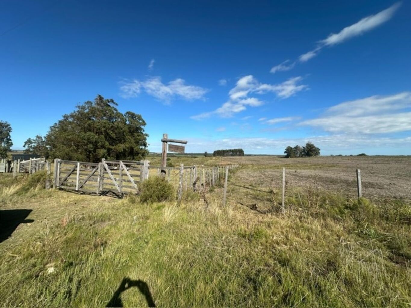 Chacra en Venta en Lavalleja