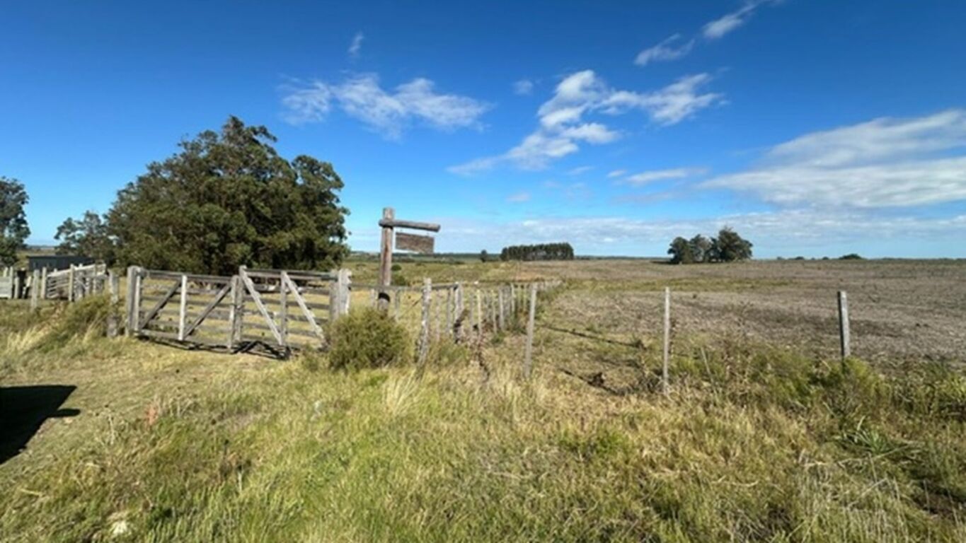 Chacra en Venta en Lavalleja — imagen 5