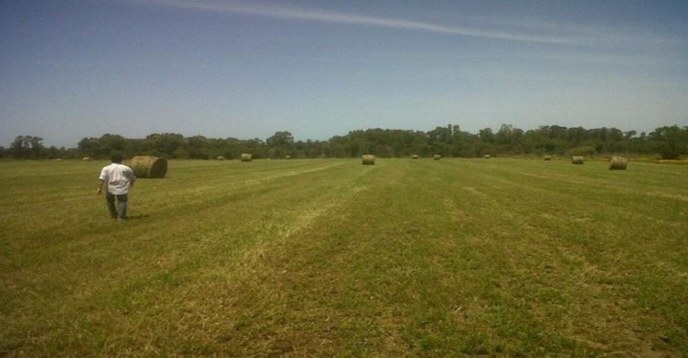 Campo en Punta Yeguas
