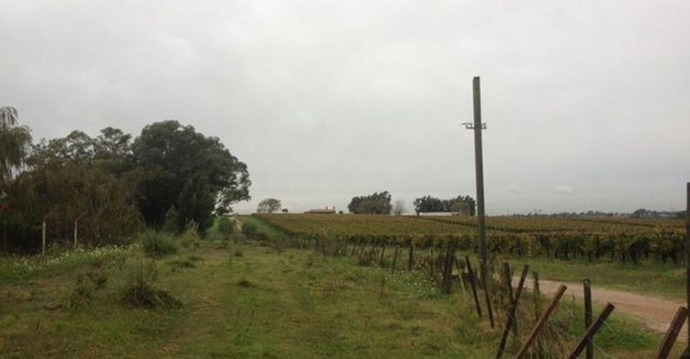 Bodega de Vinos Próxima a Montevideo — imagen 2