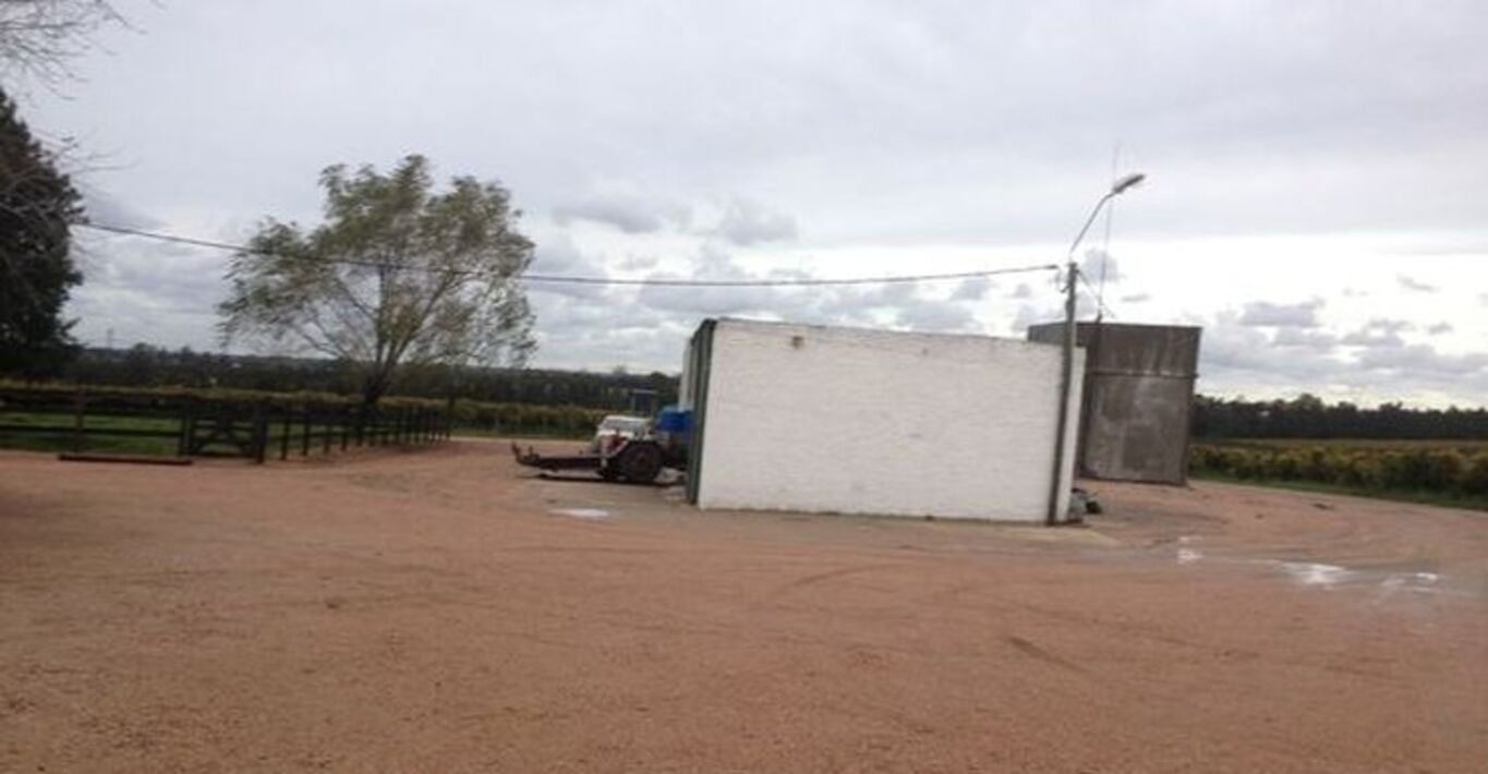 Bodega de Vinos Próxima a Montevideo — imagen 26