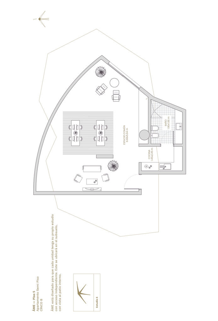 Apartamento de 3 Dormitorios en Venta en Ame — imagen 5