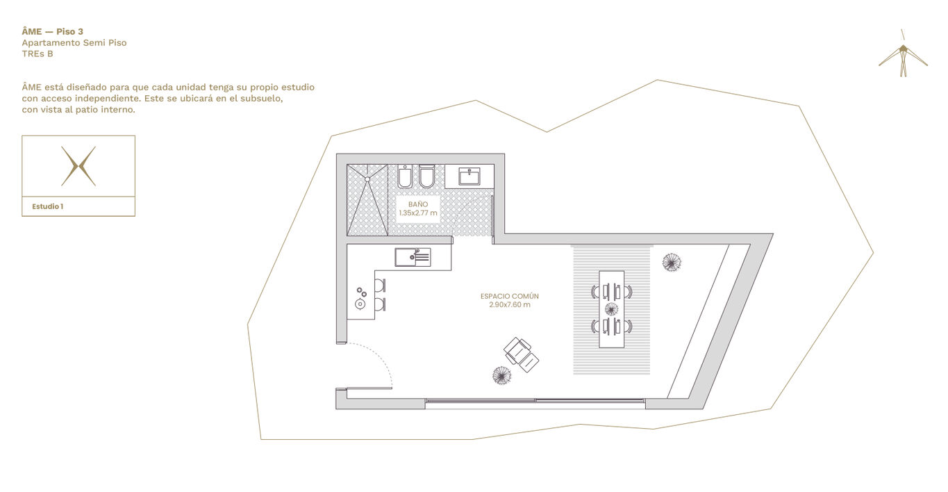 Apartamento de 4 Dormitorios en Venta en Ame — imagen 7