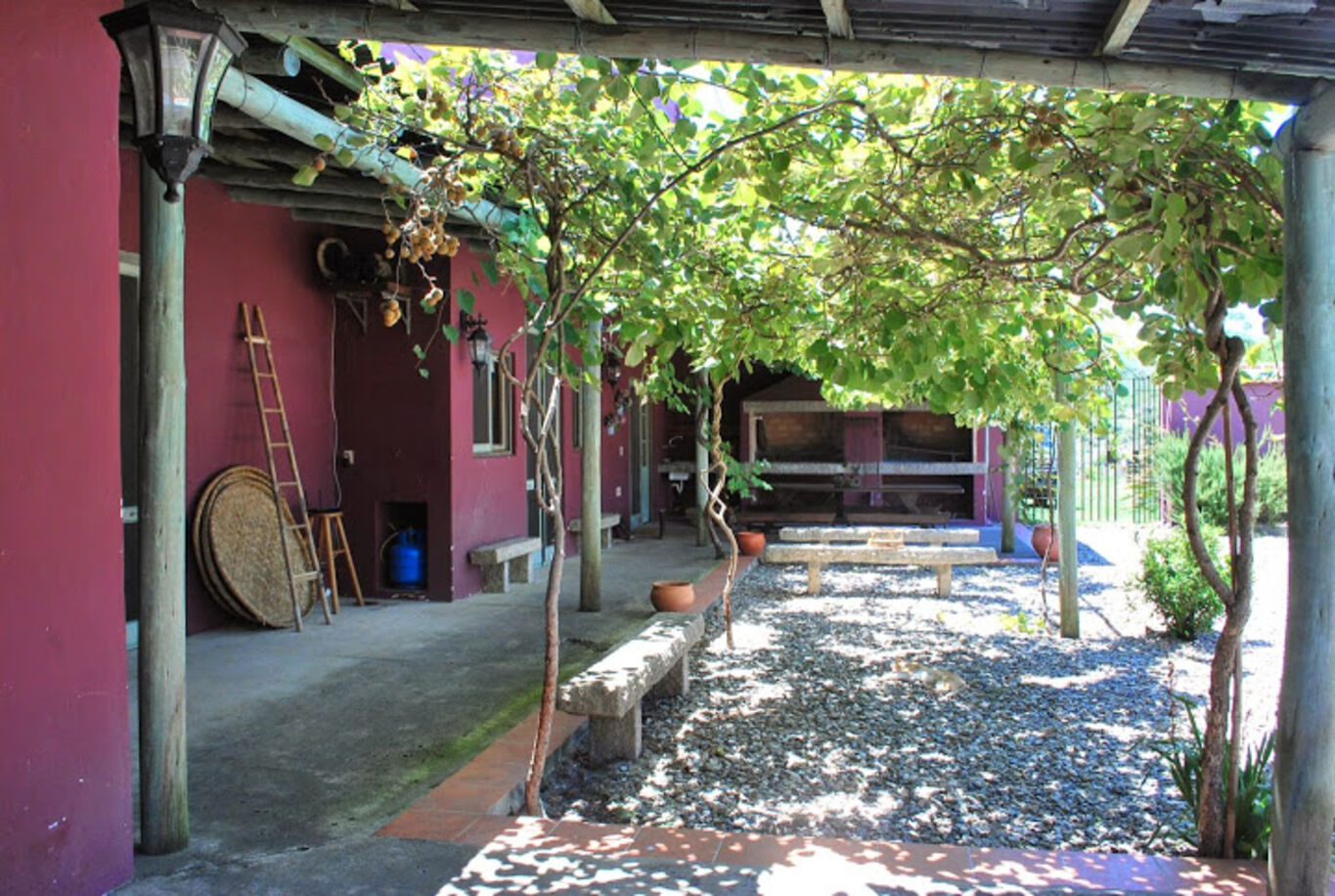 Campo Serrano en Maldonado — imagen 8