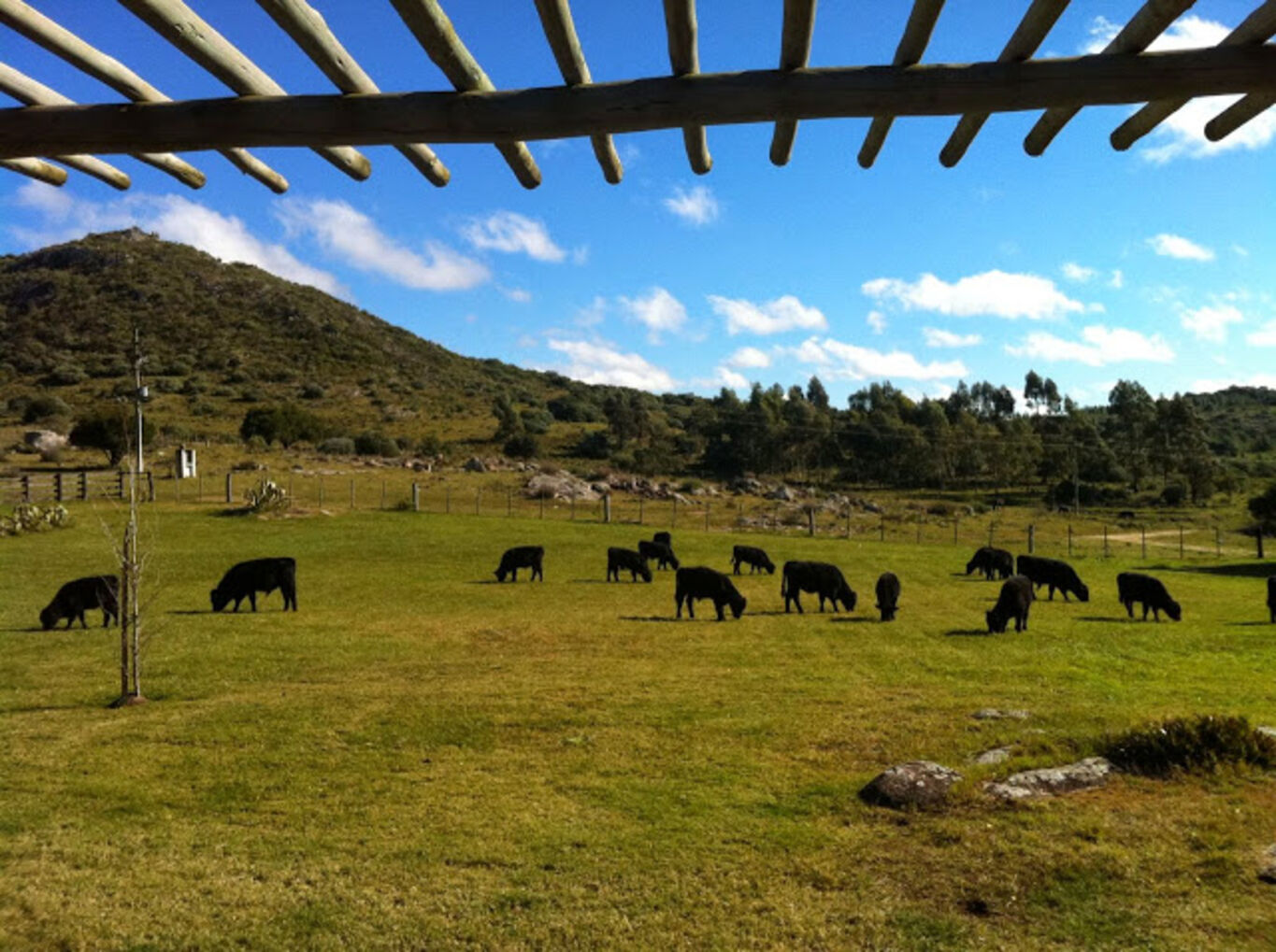 Campo Serrano en Maldonado — imagen 6