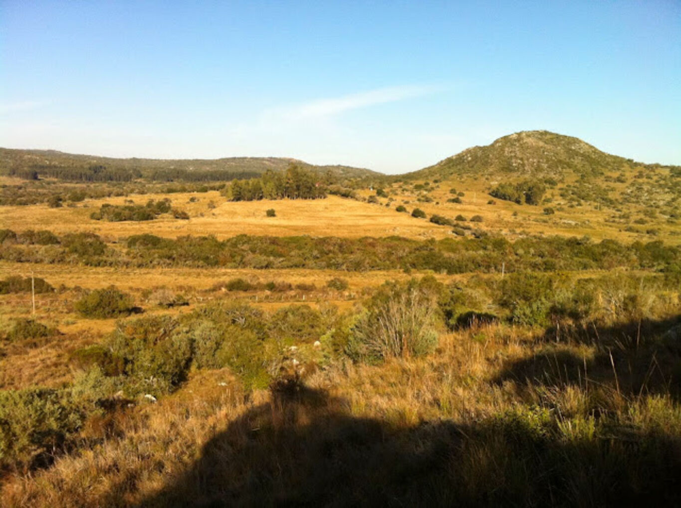 Campo Serrano en Maldonado — imagen 3