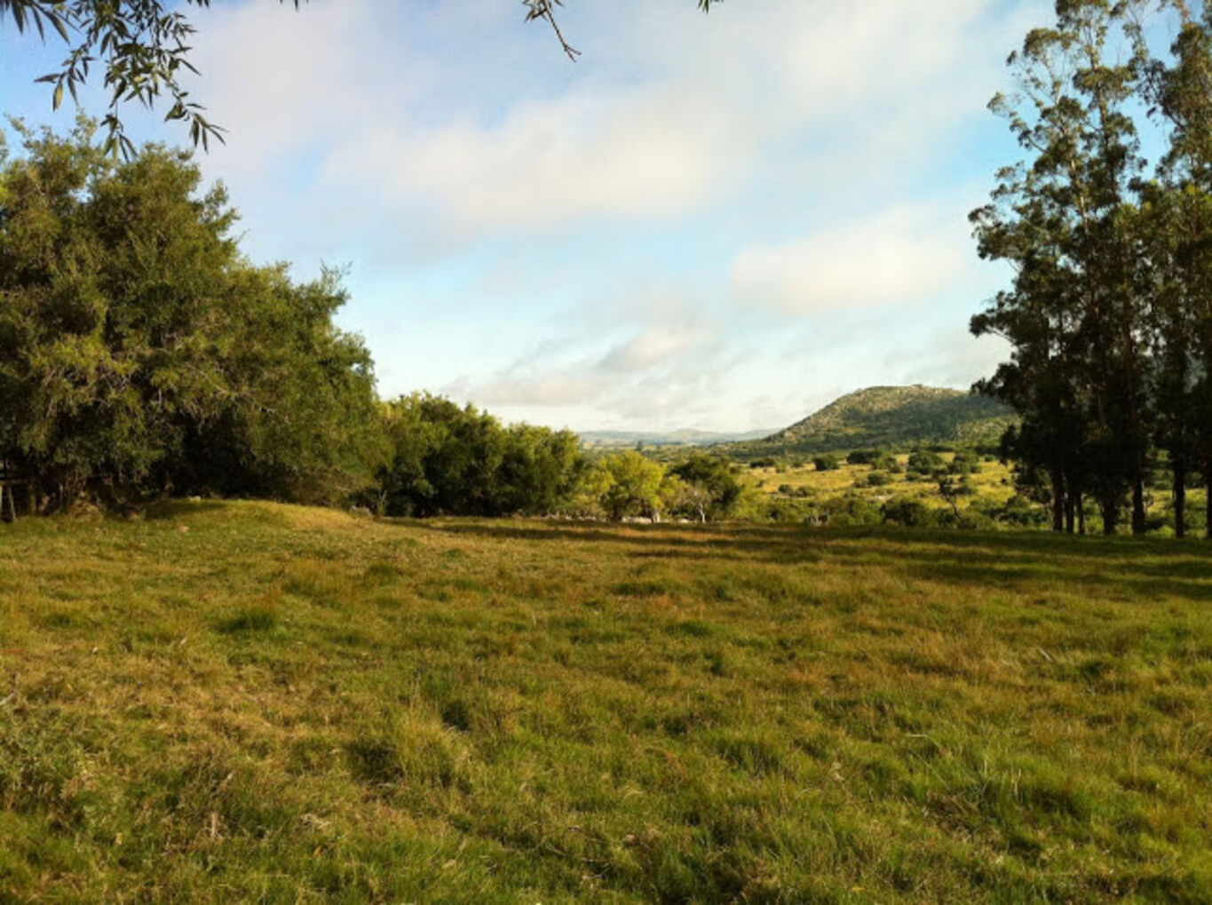 Campo Serrano en Maldonado — imagen 18