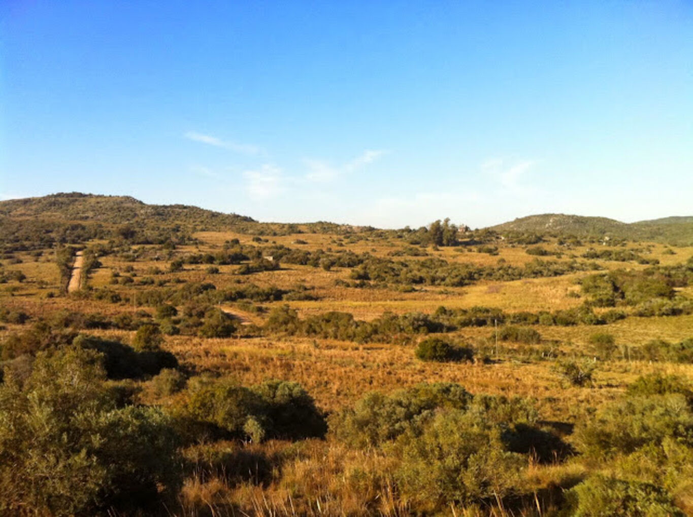 Campo Serrano en Maldonado — imagen 2