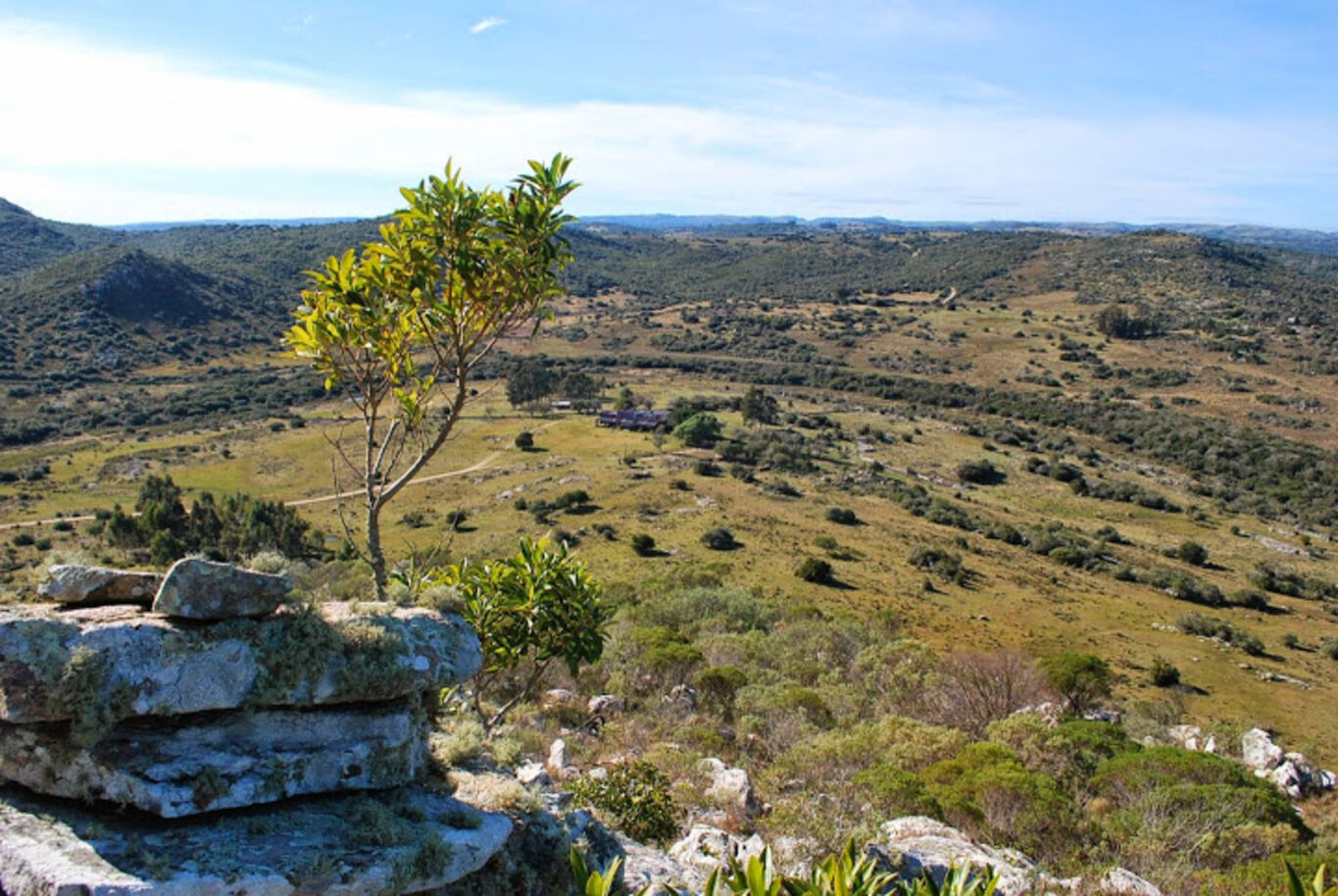 Campo Serrano en Maldonado — imagen 5