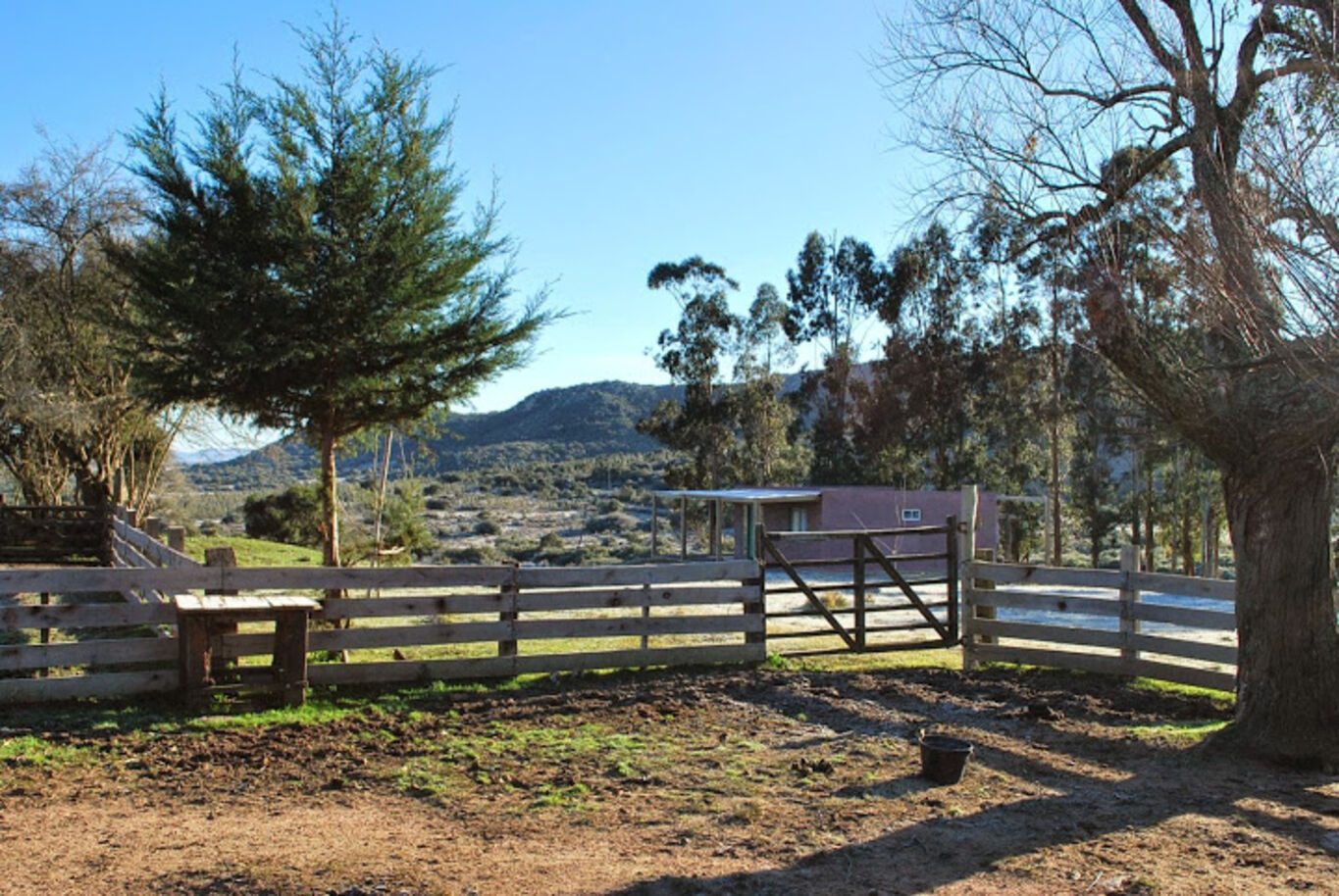 Campo Serrano en Maldonado — imagen 17