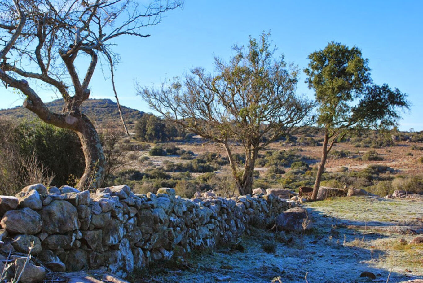 Campo Serrano en Maldonado — imagen 20