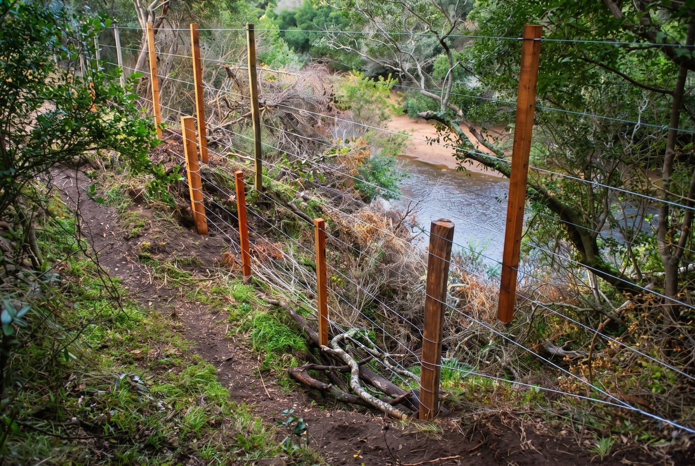 Campo Serrano en Maldonado — imagen 19