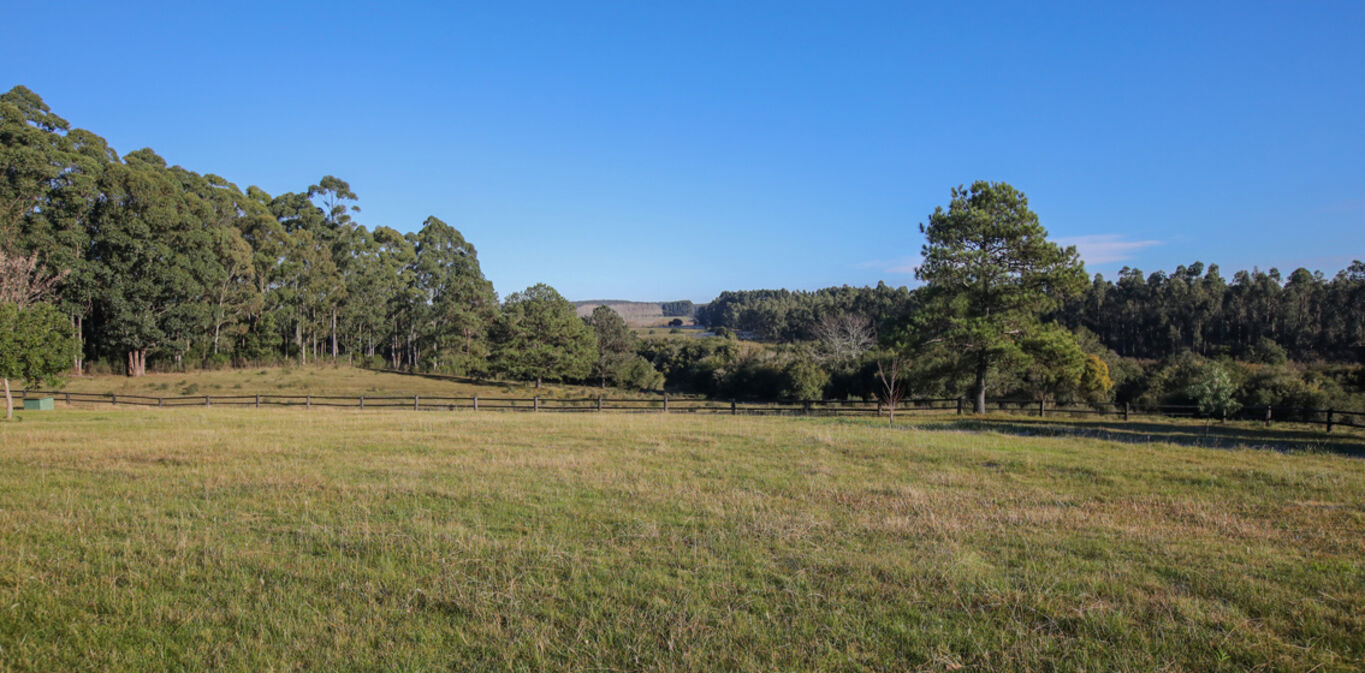 Campo en Canelones — imagen 7