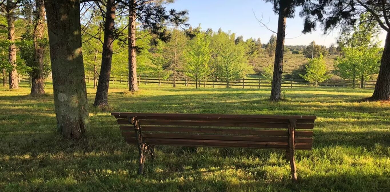 Campo en Lavalleja — imagen 8