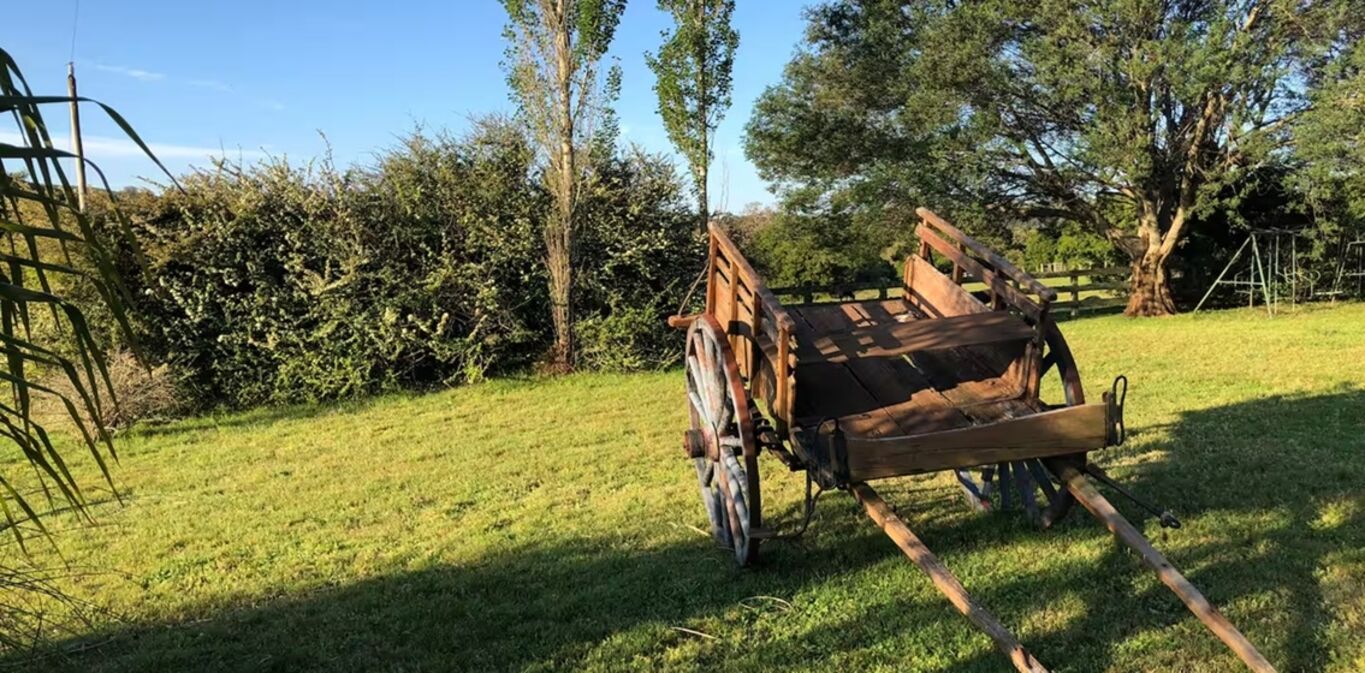 Campo en Lavalleja — imagen 9