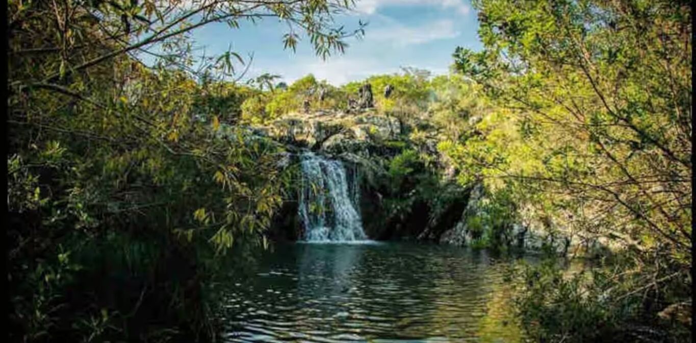 Campo en Lavalleja — imagen 10