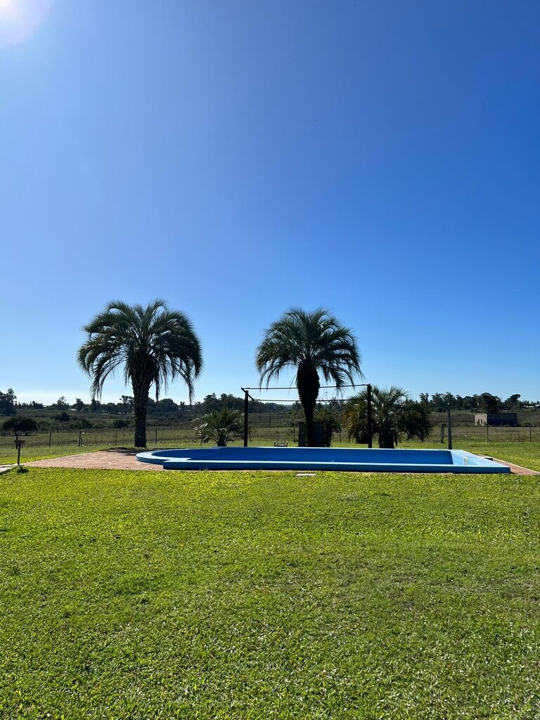 Chacra en Salto — imagen 10