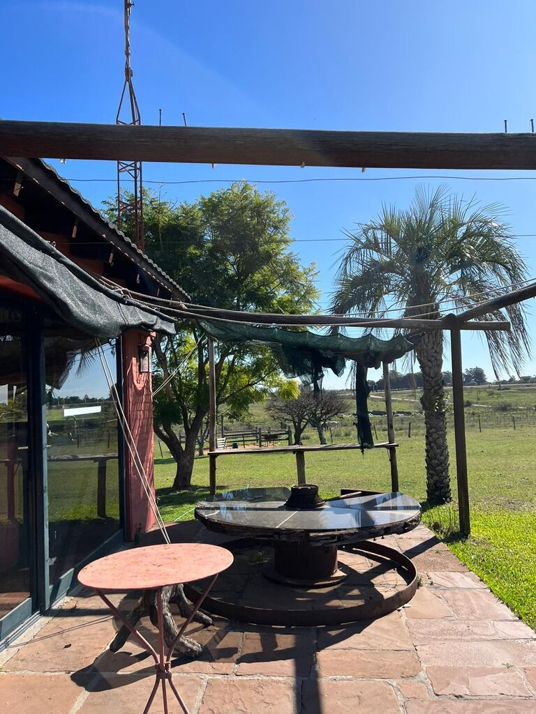 Chacra en Salto — imagen 13