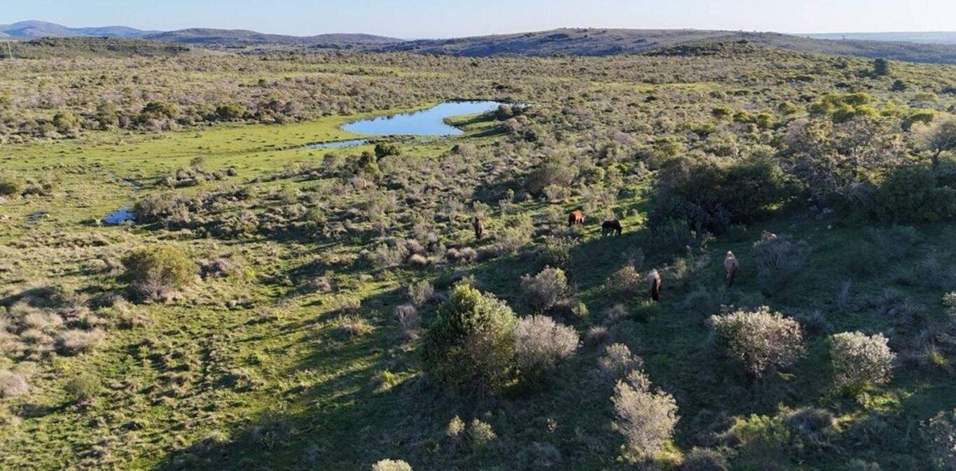 Chacra en "Chacras de las Sierras"