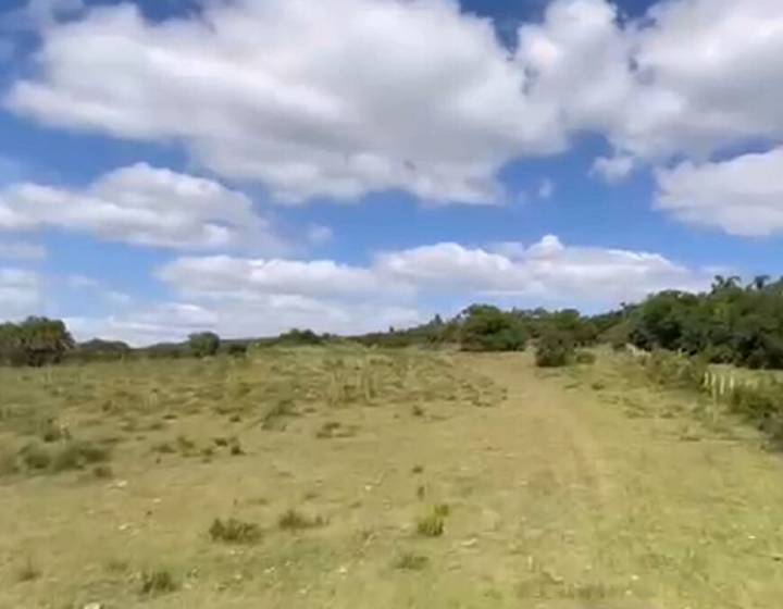 Campo en Rocha