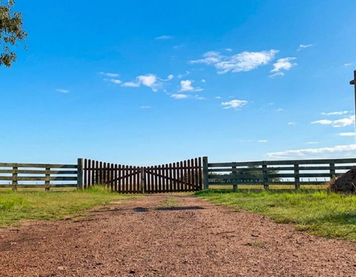 Campo en Rocha