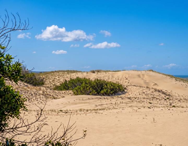 Chacra con Costa sobre El Atlántico