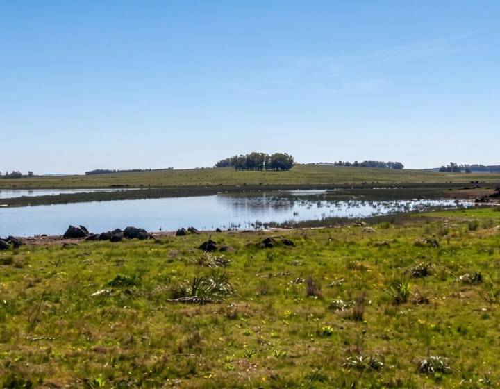 Campo en Rocha con Costa sobre Laguna