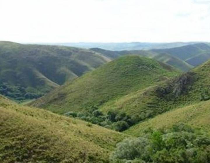 Coto de Caza en Treinta y Tres