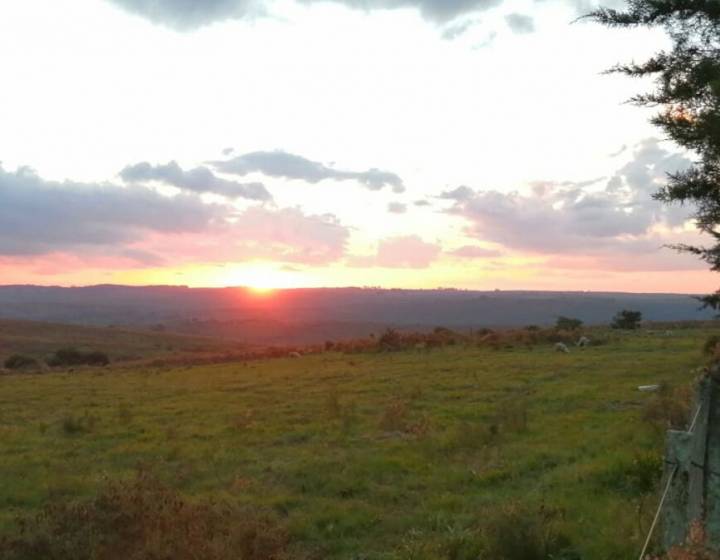Campo en Cerro Largo