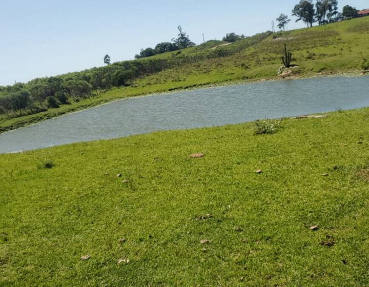 Campo en Cerro Largo