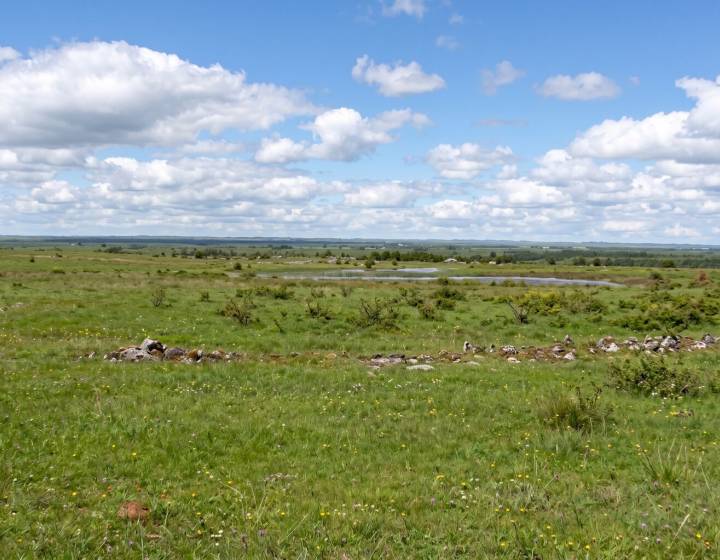 Estancia en Artigas