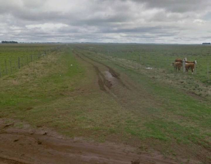 Campo con Renta en Salto