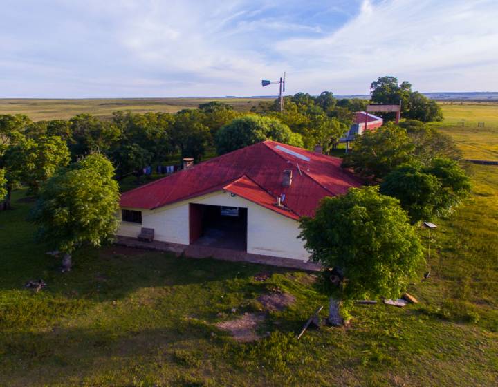 Campo en Salto