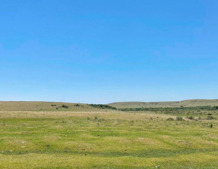Campo en Salto
