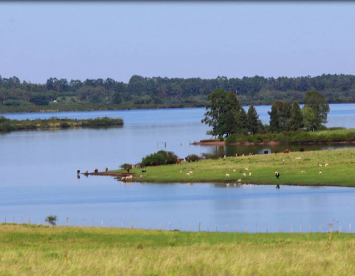 Campo en Salto