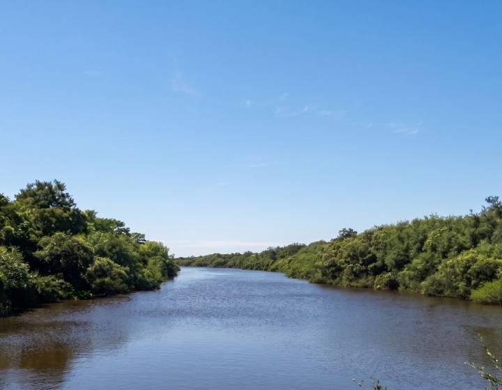 Campo Agrícola Ganadero en Paysandu
