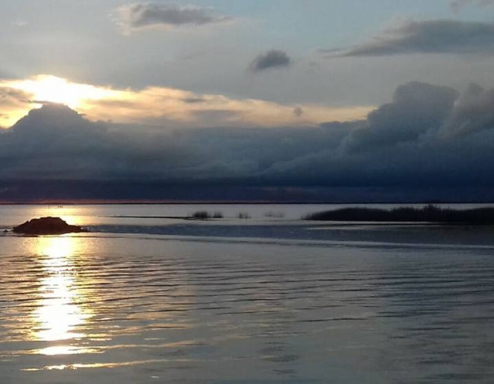 Chacra en Colonia