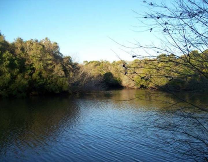 Campo en Colonia del Sacramento