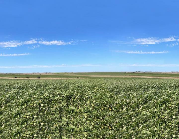 Campo en San José