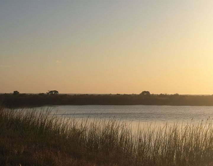 Campo en San José con Isla y Costa sobre El Rio de la Plata