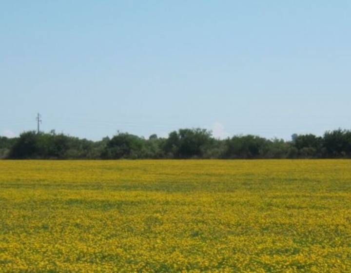 Potrero Agrícola "Don José"