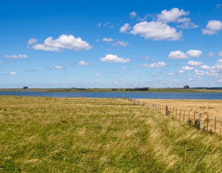Campo en Rio Negro