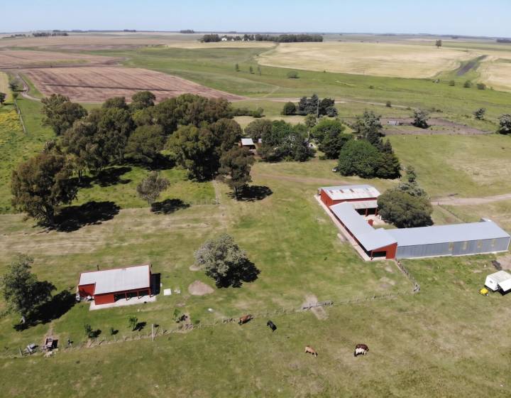 Campo en Rio Negro