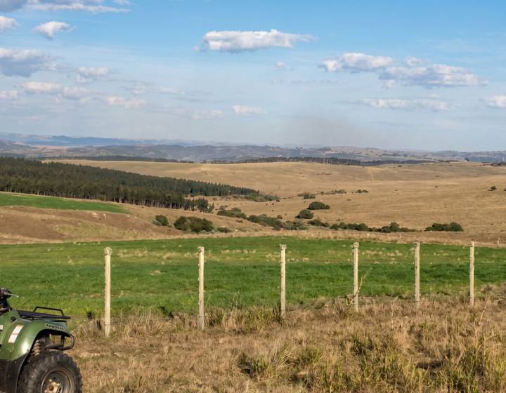 Campo en Venta en Lavalleja, Próximo a Mariscala