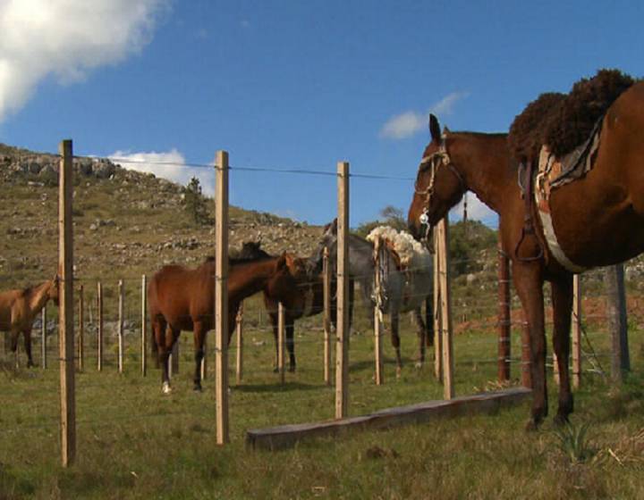 Chacras de las Sierras