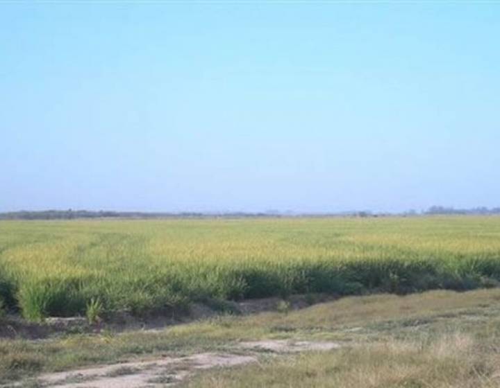 Estancia "La Espadaña"